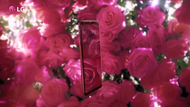 V30+ Малиновая Роза смотреть онлайн