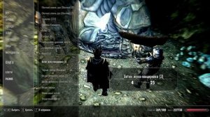 Жук-панцирник и шлем из его хитина, Skyrim