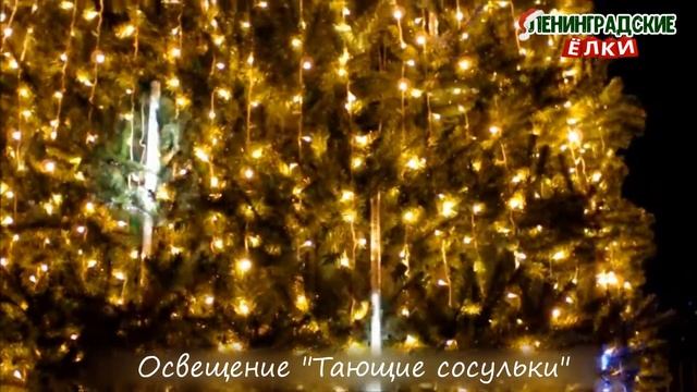 Гирлянда "Тающие cосульки" для уличных елок (крупным планом) смотреть онлайн