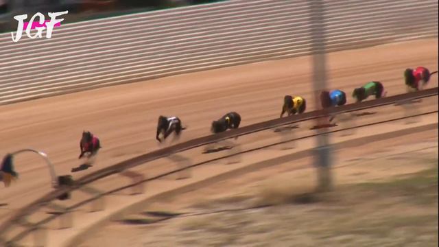 Australian greyhound dog racing - Track race смотреть онлайн