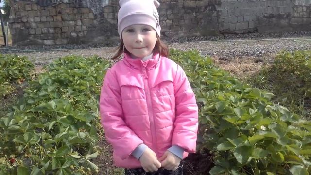 Клубничная Ферма Поле Чудес, Сбор урожая клубники Сан-Андреас.(ЗВОНИТЕ ПО НОМЕРУ +7-918-010-2726) смотреть онлайн