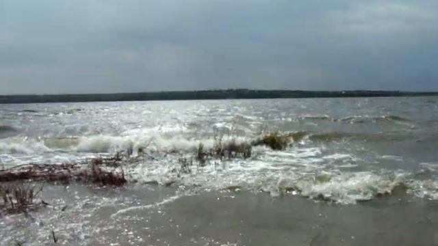 Навестили пасюков | Уже зацвел каштан смотреть онлайн