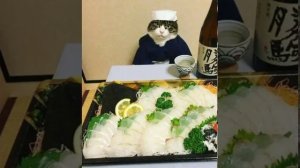 Виртуальная любовь (hardstyle remix) | Я знаю твой телефон [ 1 HOUR ] [1 ЧАС ]