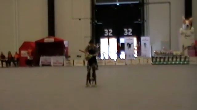 MOV01D смотреть онлайн