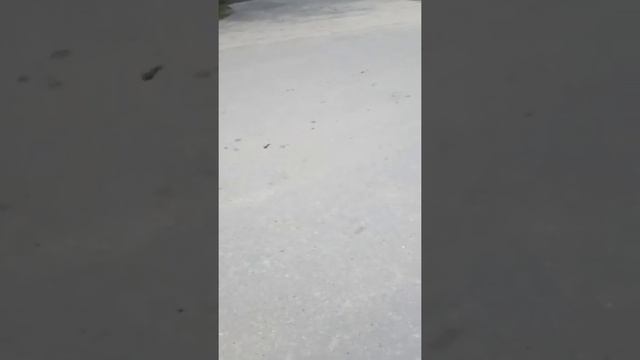 Не законное задержание и досмотр. 2