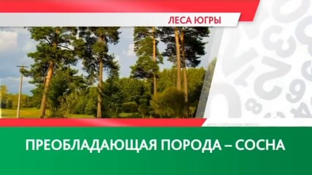Лесов в Югре много смотреть онлайн