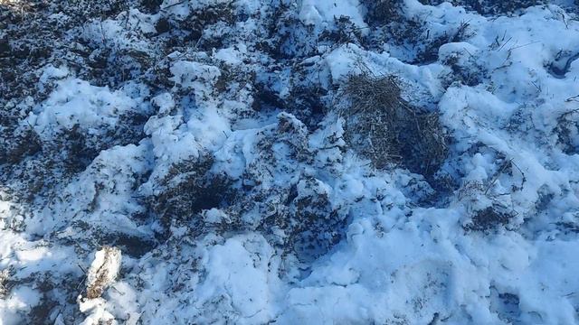 Жизнь в селе#Казахстан#Наступила зима.Перегнали свиней в сарай. смотреть онлайн