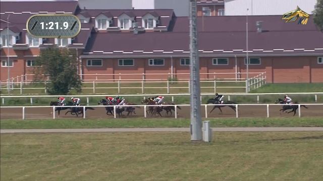 1-я Скачка. Большой Грозненский приз Дерби (Iгр.) Грозненский ипподром 28.07.2023 смотреть онлайн