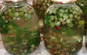 КОМПОТ ИЗ КРЫЖОВНИКА «МОХИТО»