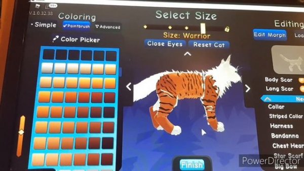 Warrior Cats|Roblox|Tutorial-Avatar|Tiger