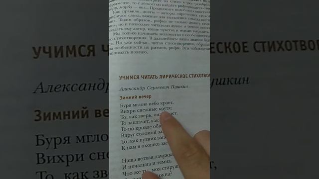 буря мглою небо кроет #mem #memesvideo смотреть онлайн