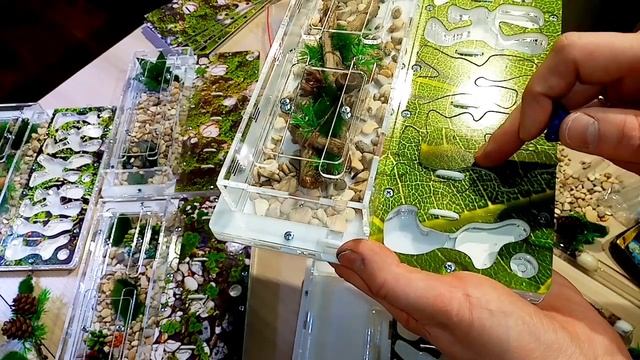 Формикарий 26 на 20 см. Обзор фермы и уход за муравьями.