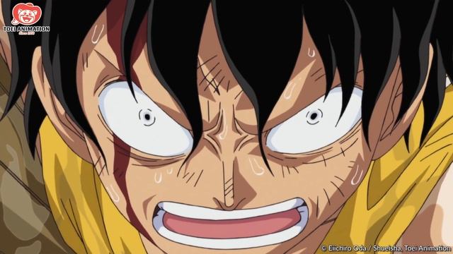 A Moment from Every Year of One Piece смотреть онлайн