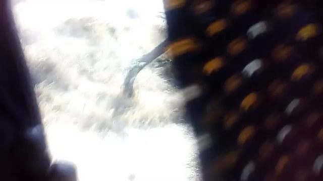 Строительные Консультации