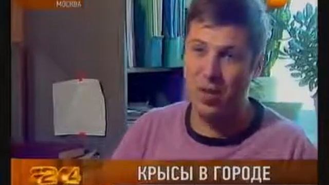 Мыши_в_квартире! Как_бороться? смотреть онлайн