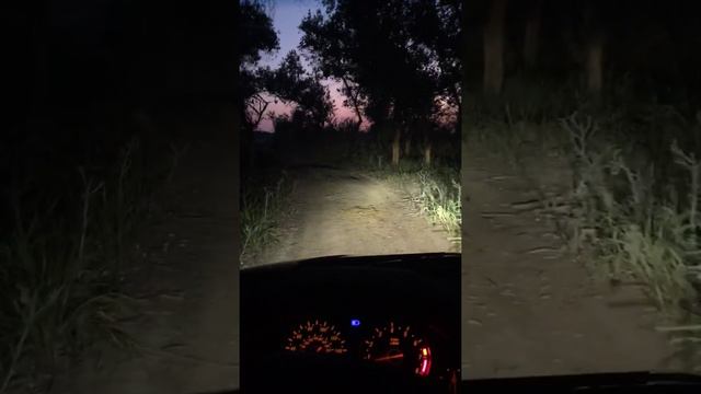 Дорога вдоль Сырдарьи смотреть онлайн