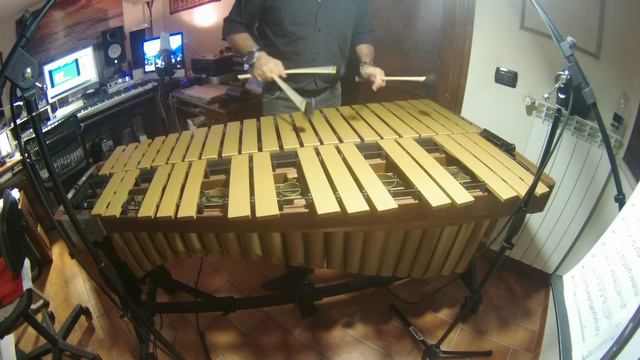 VIBRAPHONE (and MARIMBA) #mallets Daniele Di Gregorio Signature DG23 MEDIUM HARD by APinstrument смотреть онлайн