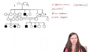 ЗАДАЧИ ПО ГЕНЕТИКЕ С НУЛЯ НА РОДОСЛОВНЫЕ. ЕГЭ по биологии.