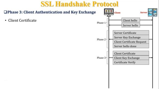 What is SSL? | What is SSL Ceritificate? | SSL Architecture and Protocols | Secure Socket Layer смотреть онлайн