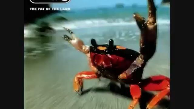 The Prodigy   Mindfields Original