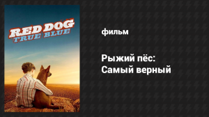 Рыжий пёс: Самый верный (фильм, 2016)