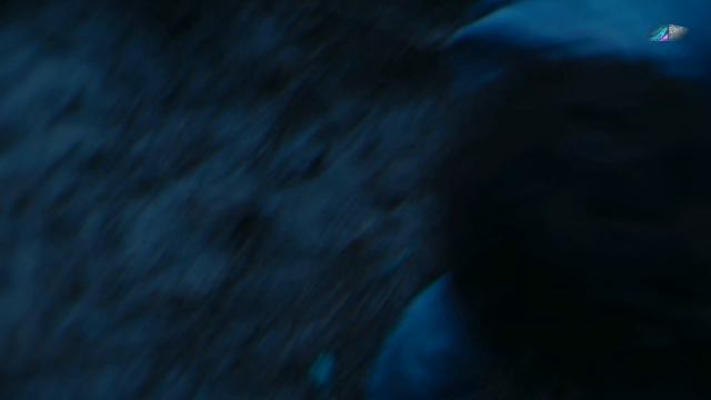 Клип FMV - Лисы волки