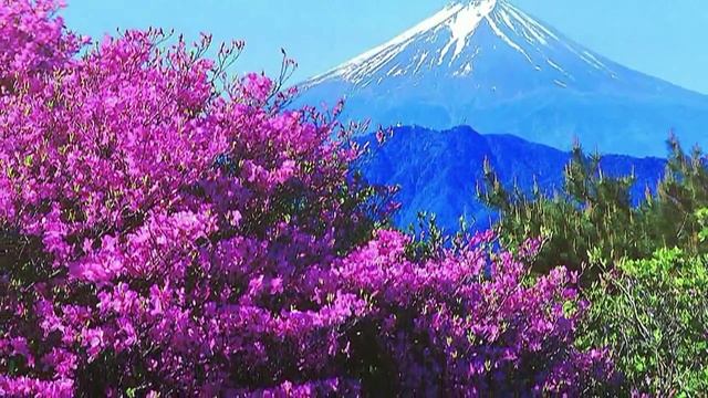 Обалденная весна.mp4 смотреть онлайн