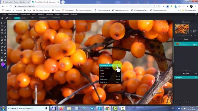 Как увеличить и уменьшить изображение в программе Pixlr 2021 с помощью лупы, инструмент рука смотреть онлайн