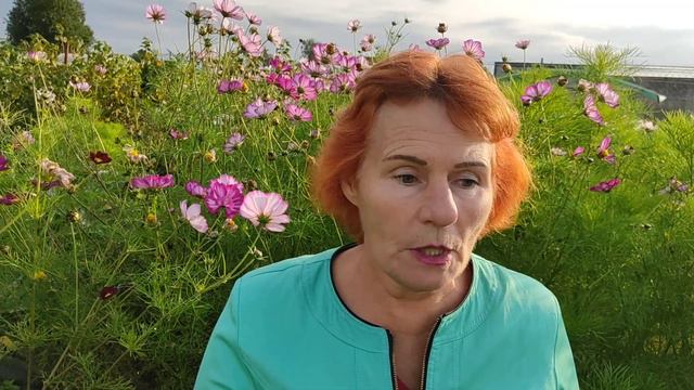 про мутацию, состояние после болезни, питьевой режим, центросому и др смотреть онлайн