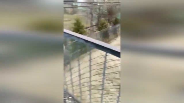 УЖАСЫ ТАЙГАНА - год назад, 05.12.2020. Архив. смотреть онлайн