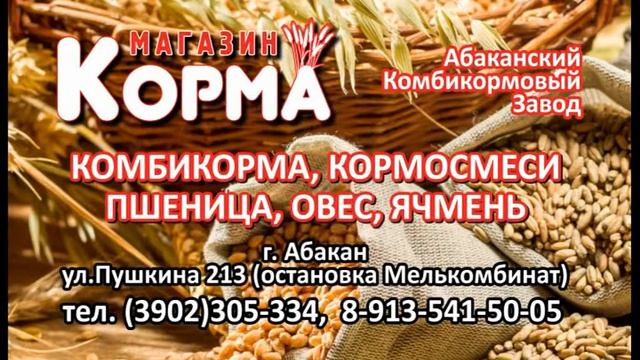 Абаканский Комбикормовый Завод смотреть онлайн