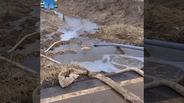 Осушение болота. смотреть онлайн