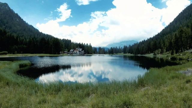 4K Пение птиц на берегу озера - Расслабляющие звуки природы