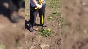 Извлекатель сорняков Торнадика (Торнадо)
