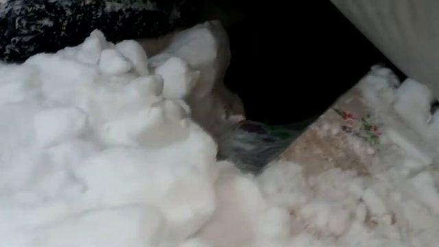 Мёртвый друг