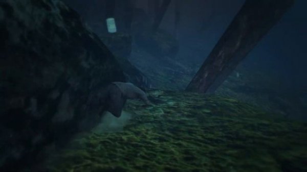 ЛОФОФОРЫ В GTA 5 ONLINE