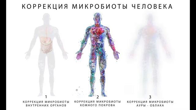 ТРИ УРОВНЯ МИКРОБИОТЫ ЧЕЛОВЕКА. Первая лекция смотреть онлайн