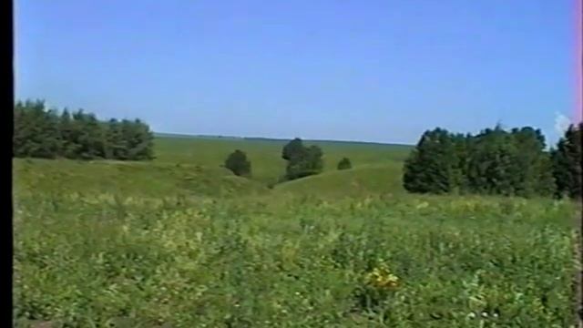 Озёрки Становлянского района. Этюд "Где я счастья и радости в юности ждал..." смотреть онлайн