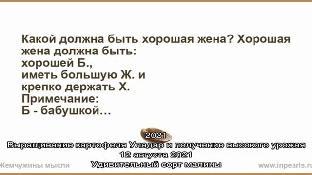 Тюльпаны и 10 циклов их жизни — от посадки до выкопки смотреть онлайн