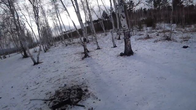 ПРОГУЛКА ПО ЛЕСУ|СВЕЖИЙ ВОЗДУХ|ДРУГИЕ ГОРКИ С ДРУГОЙ СТОРОНЫ| смотреть онлайн