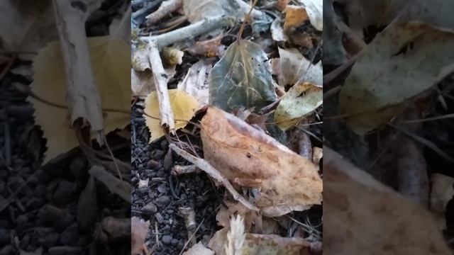 природа фото(3) смотреть онлайн