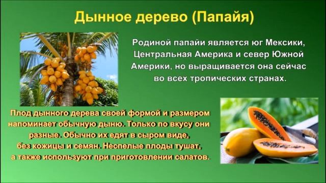 «Где растут колбасные деревья» смотреть онлайн