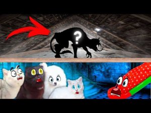 ТАМ, там, там… СТРАХ, страх, страх… ПОМОГИТЕ НАШИМ КОШКАМ !!!