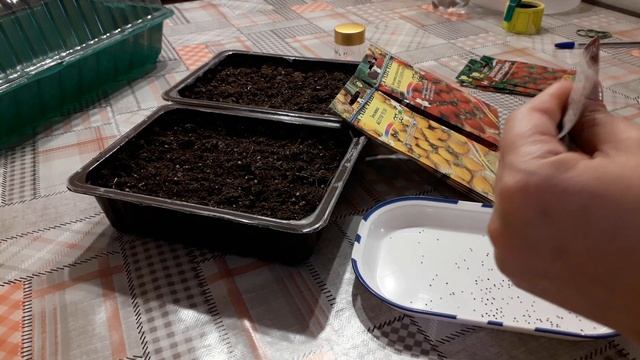 Посев земляники мелкоплодной (часть 1) смотреть онлайн