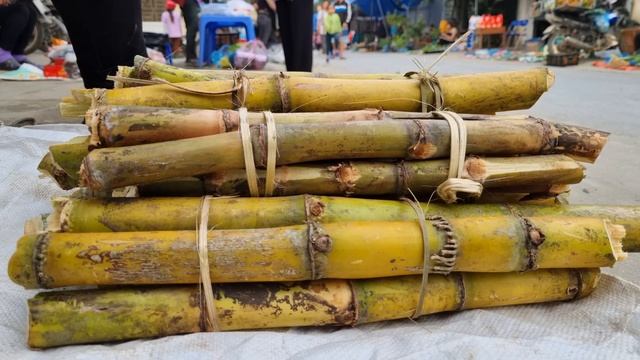 Harvest Sweet Potato And Sugarcane Gardens. Sell At Highland Markets | Chuc Thi Duong