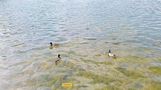 БЕЗ КОМмЕНТАРИЕВ смотреть онлайн