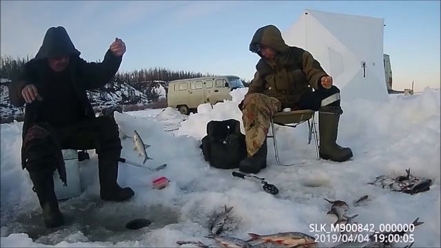 Неплохой улов 04 04 2019 смотреть онлайн