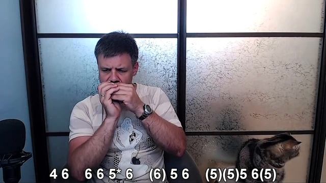 My Way Фрэнка Синатры на губной гармошке смотреть онлайн