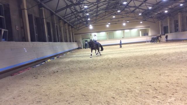 Ольденбург на продажу смотреть онлайн