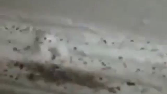 Стройка Желаний